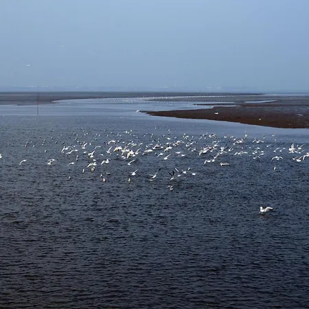 Ebbe, Vermittlung Nordsee *