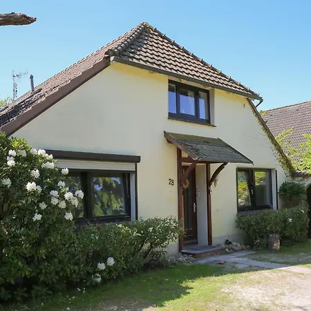 Ebbe, Vermittlung Nordsee Дангаст